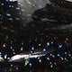High-rise Glossy Low-top Women's Boots