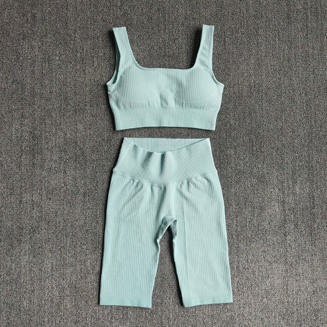 Seamless Women Yoga Set Sports Bra Shorts